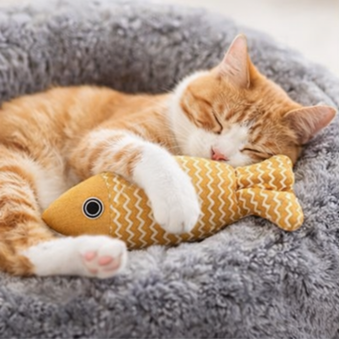 Comfort Bed Toy 🐟