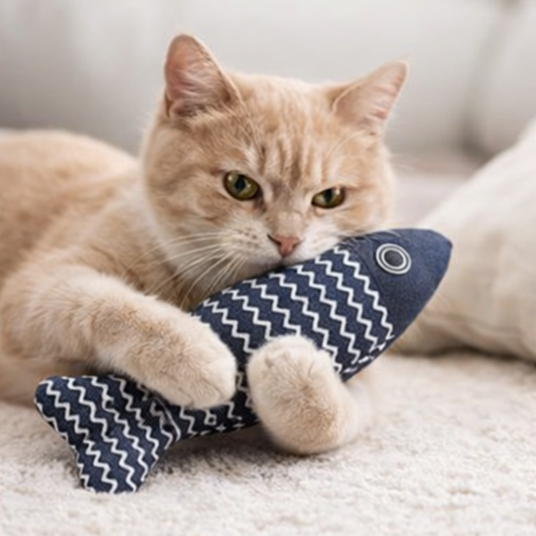 Comfort Bed Toy 🐟