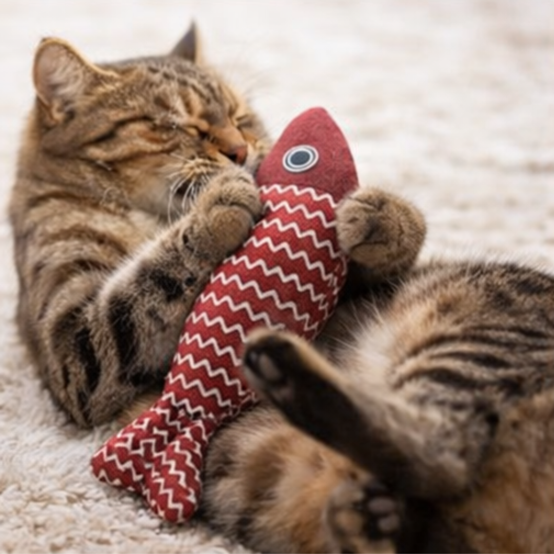 Comfort Bed Toy 🐟